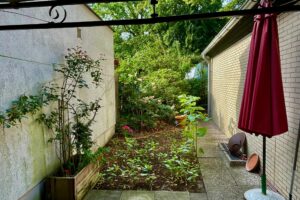 Kleiner Gartenbereich hinterm Haus